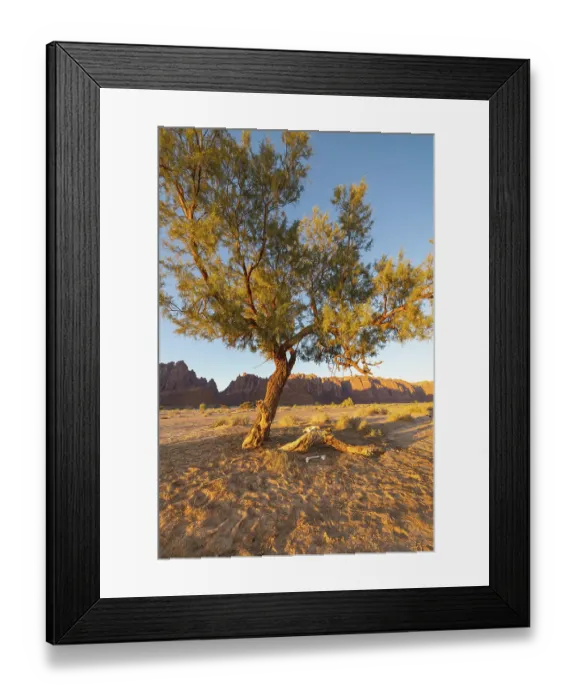 Framed Print : Saudi Arabia, Tabuk, Al-Disah. Desert landscape in the Prince Mohammed bin Salman Natural Reserve
