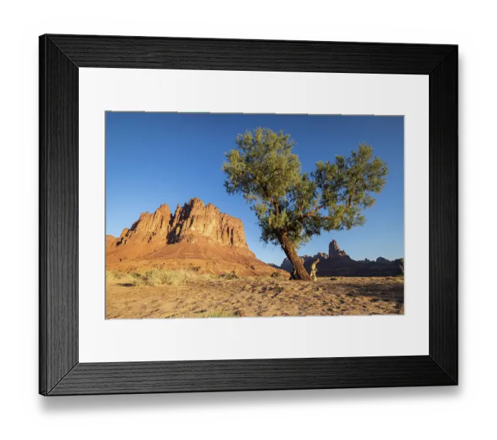 Framed Print : Saudi Arabia, Tabuk, Al-Disah. Desert landscape in the Prince Mohammed bin Salman Natural Reserve Framed Print : Saudi Arabia, Tabuk, Al-Disah. Desert landscape in the Prince Mohammed bin Salman Natural Reserve