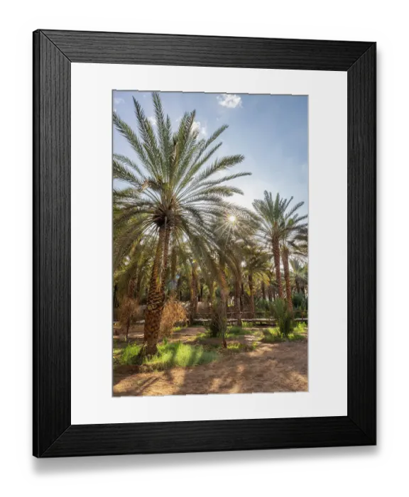 Framed Print : Saudi Arabia, Medina, Al-Ula. Palm trees at the Daimumah Oasis Framed Print : Saudi Arabia, Medina, Al-Ula. Palm trees at the Daimumah Oasis