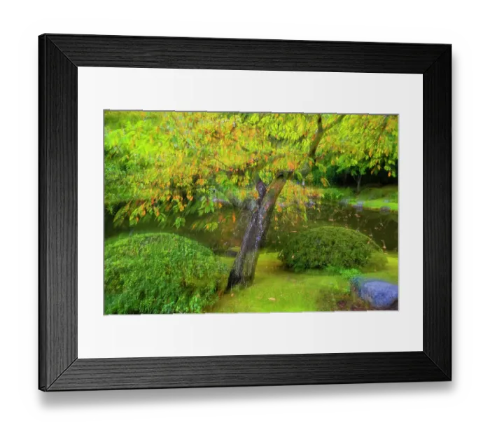 Framed Print : Canada, British Columbia, Vancouver. Autumn composite scenic with tree and pond. ©Dennis Kirkland / Jaynes Gallery / DanitaDelimont.com Framed Print : Canada, British Columbia, Vancouver. Autumn composite scenic with tree and pond. ©Dennis Kirkland / Jaynes Gallery / DanitaDelimont.com