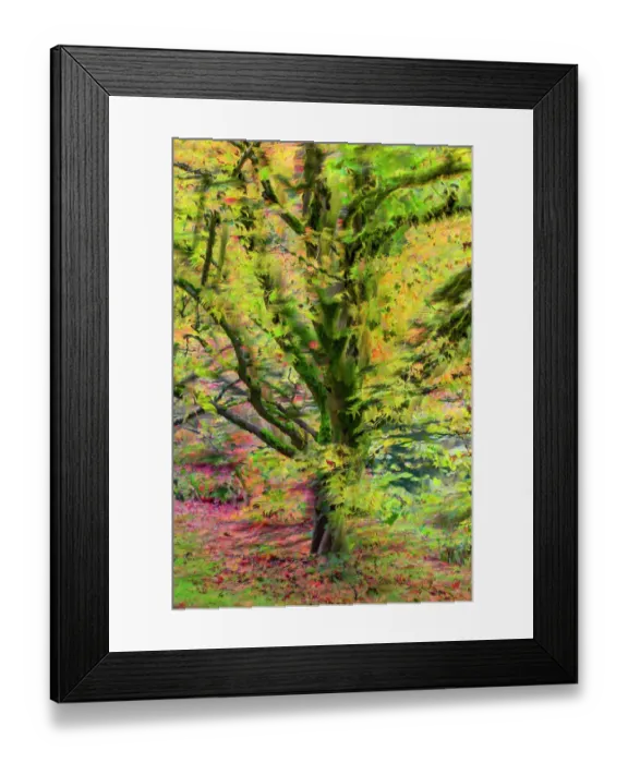 Framed Print : Canada, British Columbia, Vancouver. Abstract of autumn tree in VanDusen Botanical Gardens. ©Dennis Kirkland  /  Jaynes Gallery  /  DanitaDelimont.com