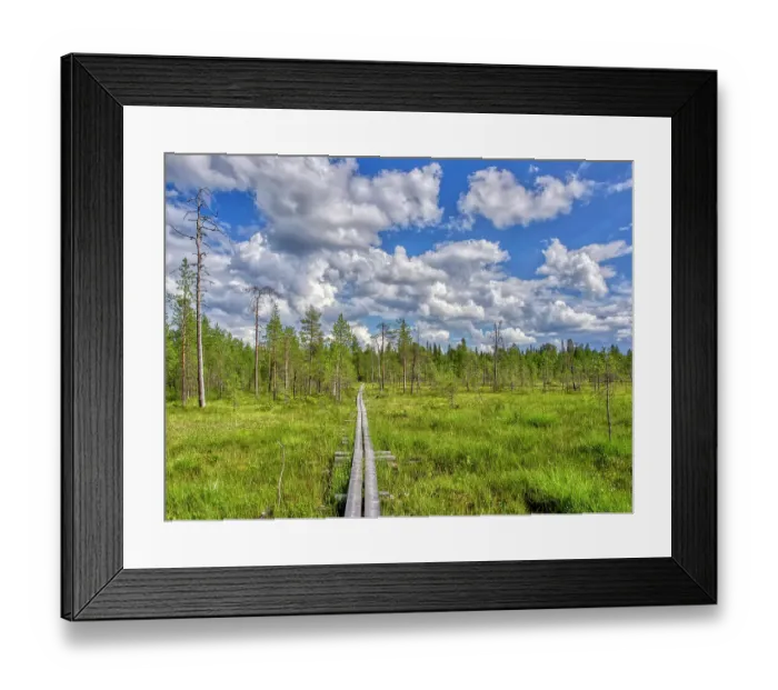 Framed Print : Finland, Kuusamo, Oulanka National Park. Elevated path crossing a marsh Framed Print : Finland, Kuusamo, Oulanka National Park. Elevated path crossing a marsh