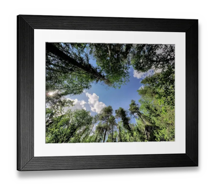 Framed Print : Finland, Kuusamo, Oulanka National Park Framed Print : Finland, Kuusamo, Oulanka National Park