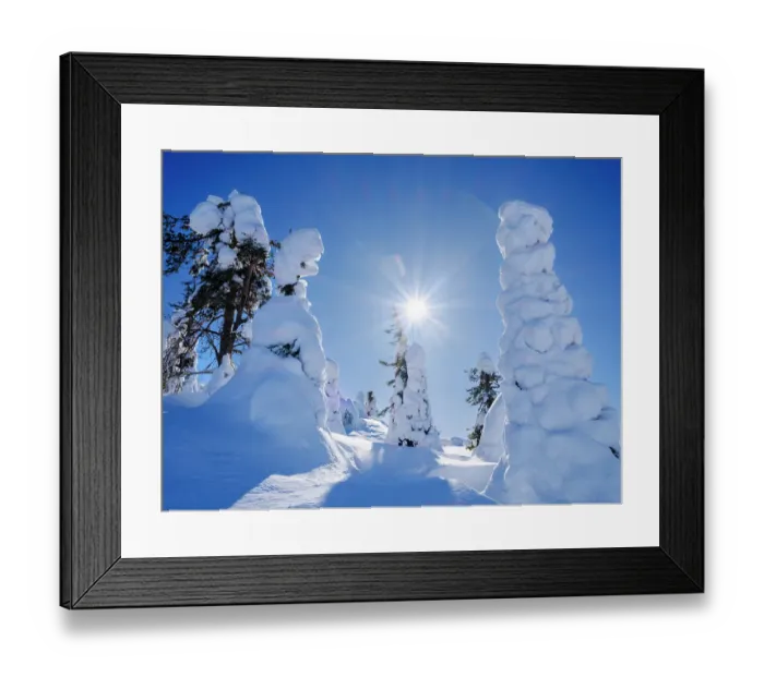 Framed Print : Boreal forest covered in snow (Tykkylumi) in the Taiga of Finland at mountain Iso Pyhatunturi. Winter in the Salla National Park in Finnish Lapland