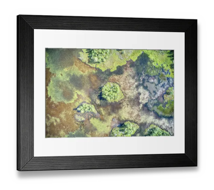 Framed Print : Finland, North Ostrobothnia, Rukatunturi area. Marshland Framed Print : Finland, North Ostrobothnia, Rukatunturi area. Marshland