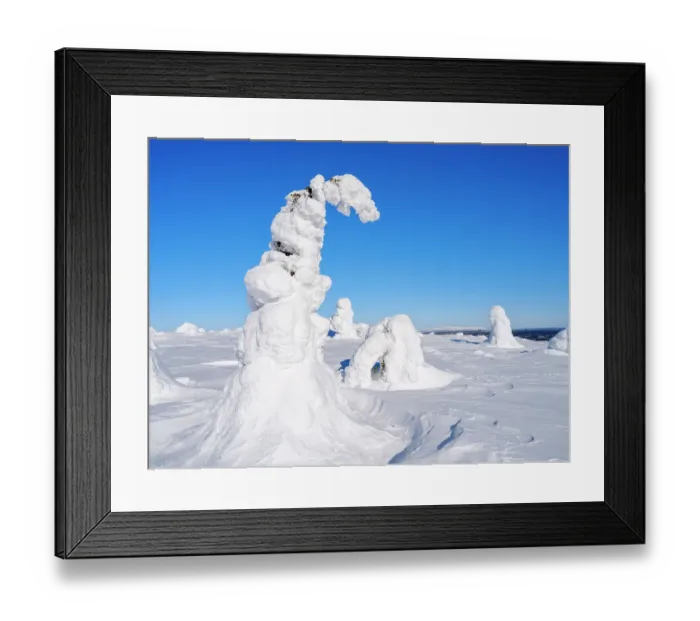 Framed Print : Boreal forest covered in snow (Tykkylumi) in the Taiga of Finland at mountain Iso Pyhatunturi. Winter in the Salla National Park in Finnish Lapland