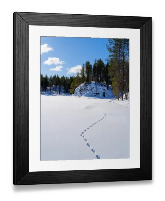 Framed Print : Frozen lake near Myllykoski. Winter in the Oulanka National Park in Finnish Lapland