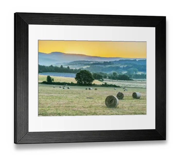 Framed Print : France, Provence. Hayfield sunrise near Sault