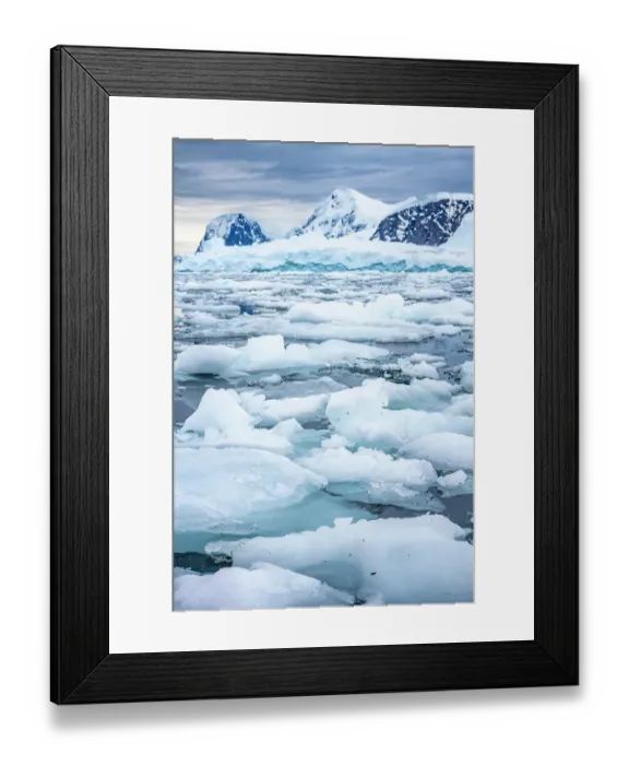 Framed Print : Antarctica, Andvord Bay, Neko Harbour. Landscape with icebergs and mountains. ©Cathy & Gordon Illg  /  Jaynes Gallery  /  DanitaDelimont.com