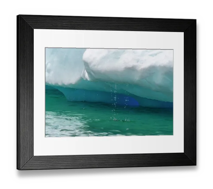 Framed Print : Antarctica, Yalour Islands. Close-up of melting iceberg. ©Cathy & Gordon Illg  /  Jaynes Gallery  /  DanitaDelimont.com