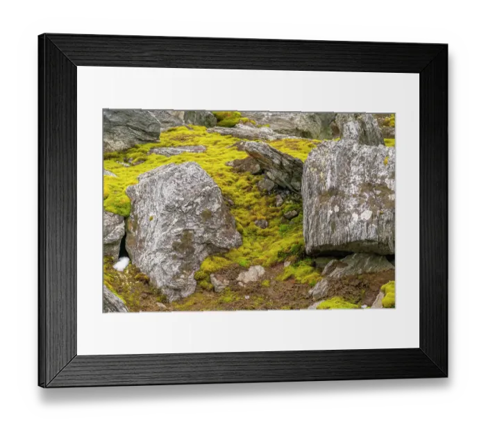 Framed Print : Antarctica, South Orkney Islands, Signy Island, Signy Research Station. Mossy tundra and boulders. ©Cathy & Gordon Illg / Jaynes Gallery / DanitaDelimont.com Framed Print : Antarctica, South Orkney Islands, Signy Island, Signy Research Station. Mossy tundra and boulders. ©Cathy & Gordon Illg / Jaynes Gallery / DanitaDelimont.com