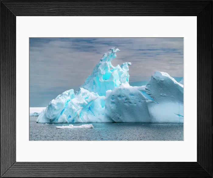 Framed Print : Antarctica, Yalour Islands. Landscape with icebergs and ocean. ©Cathy & Gordon Illg  /  Jaynes Gallery  /  DanitaDelimont.com
