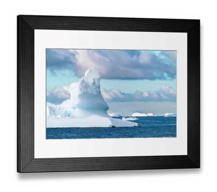 Framed Print : Antarctica. Landscape with icebergs. ©Cathy & Gordon Illg / Jaynes Gallery / DanitaDelimont.com Framed Print : Antarctica. Landscape with icebergs. ©Cathy & Gordon Illg / Jaynes Gallery / DanitaDelimont.com