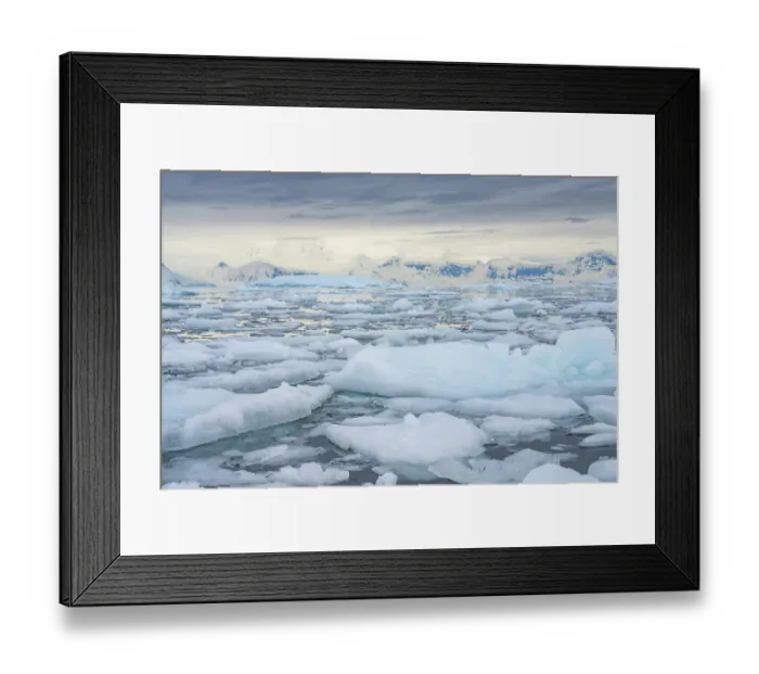 Framed Print : Antarctica, Andvord Bay, Neko Harbour. Landscape with icebergs and mountains. ©Cathy & Gordon Illg / Jaynes Gallery / DanitaDelimont.com Framed Print : Antarctica, Andvord Bay, Neko Harbour. Landscape with icebergs and mountains. ©Cathy & Gordon Illg / Jaynes Gallery / DanitaDelimont.com