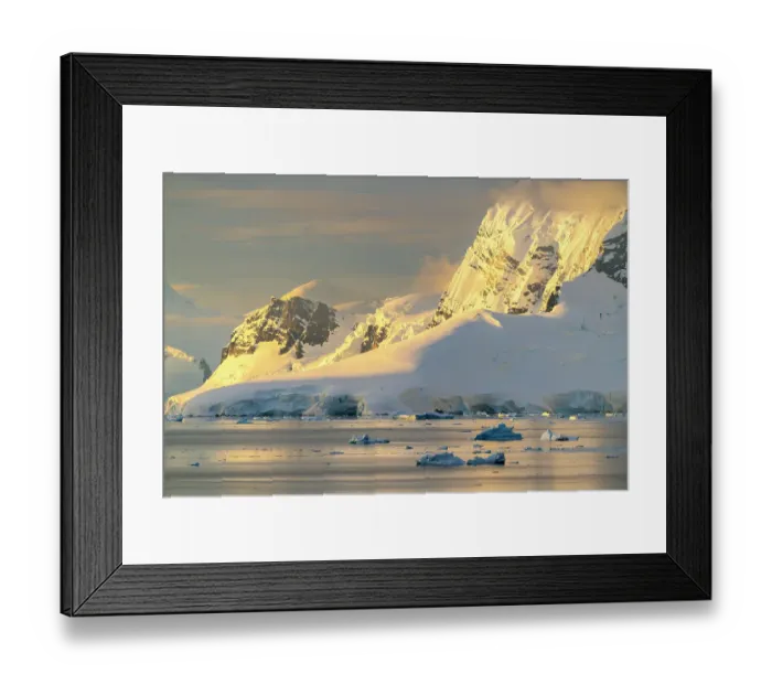 Framed Print : Antarctica, Paradise Bay. Mountain reflections at sunset. ©Cathy & Gordon Illg / Jaynes Gallery / DanitaDelimont.com Framed Print : Antarctica, Paradise Bay. Mountain reflections at sunset. ©Cathy & Gordon Illg / Jaynes Gallery / DanitaDelimont.com
