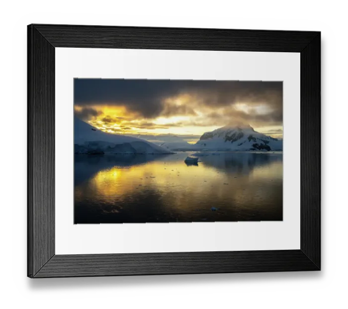 Framed Print : Antarctica, Paradise Bay. Mountain reflections at sunset. ©Cathy & Gordon Illg / Jaynes Gallery / DanitaDelimont.com Framed Print : Antarctica, Paradise Bay. Mountain reflections at sunset. ©Cathy & Gordon Illg / Jaynes Gallery / DanitaDelimont.com
