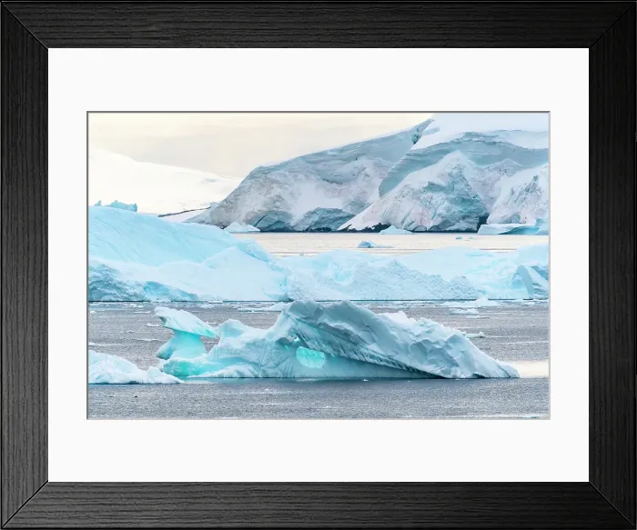 Framed Print : Antarctica, Andvord Bay, Neko Harbour. Landscape with icebergs. ©Cathy & Gordon Illg / Jaynes Gallery / DanitaDelimont.com Framed Print : Antarctica, Andvord Bay, Neko Harbour. Landscape with icebergs. ©Cathy & Gordon Illg / Jaynes Gallery / DanitaDelimont.com