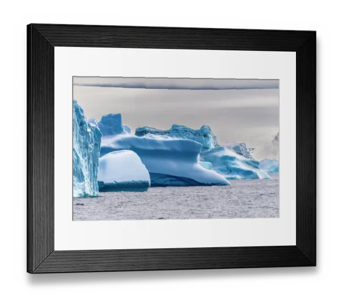 Framed Print : Antarctica, South Orkney Islands. Icebergs in ocean. ©Cathy & Gordon Illg  /  Jaynes Gallery  /  DanitaDelimont.com