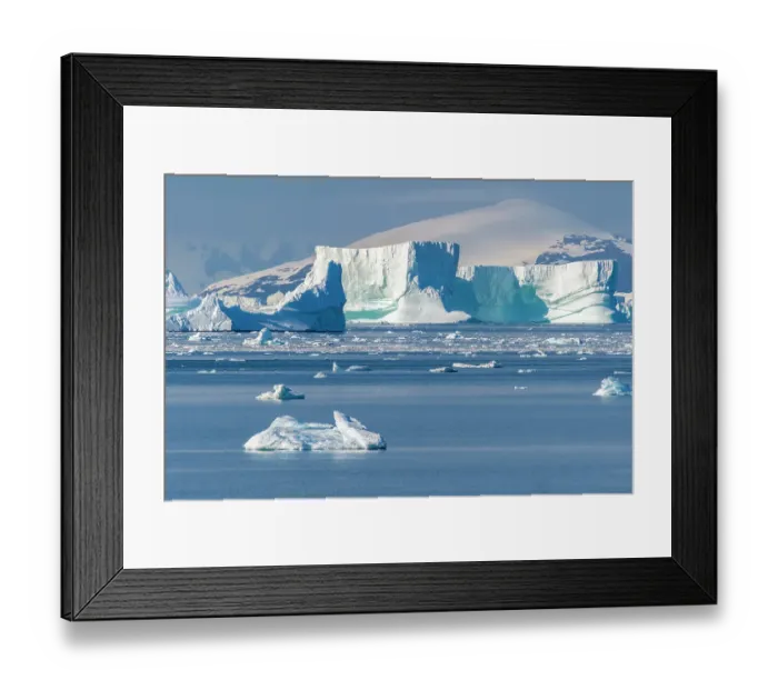 Framed Print : Antarctica, Port Charcot. Mountain and iceberg landscape. ©Cathy & Gordon Illg / Jaynes Gallery / DanitaDelimont.com Framed Print : Antarctica, Port Charcot. Mountain and iceberg landscape. ©Cathy & Gordon Illg / Jaynes Gallery / DanitaDelimont.com