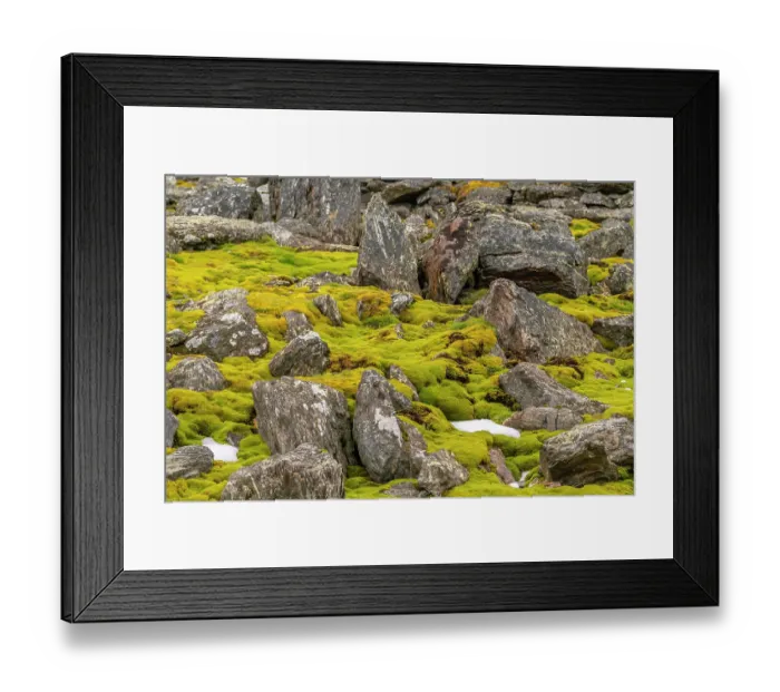 Framed Print : Antarctica, South Orkney Islands, Signy Island. Boulders and tundra at Signy Research Station. ©Cathy & Gordon Illg / Jaynes Gallery / DanitaDelimont.com Framed Print : Antarctica, South Orkney Islands, Signy Island. Boulders and tundra at Signy Research Station. ©Cathy & Gordon Illg / Jaynes Gallery / DanitaDelimont.com