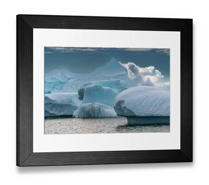 Framed Print : Antarctica, Yalour Islands. Landscape with icebergs and ocean. ©Cathy & Gordon Illg  /  Jaynes Gallery  /  DanitaDelimont.com