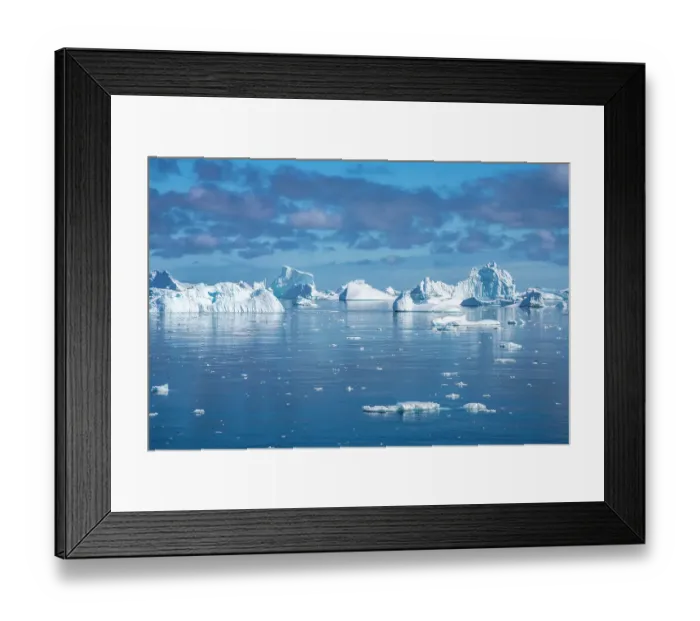 Framed Print : Antarctica. Landscape with ocean and icebergs. ©Cathy & Gordon Illg  /  Jaynes Gallery  /  DanitaDelimont.com