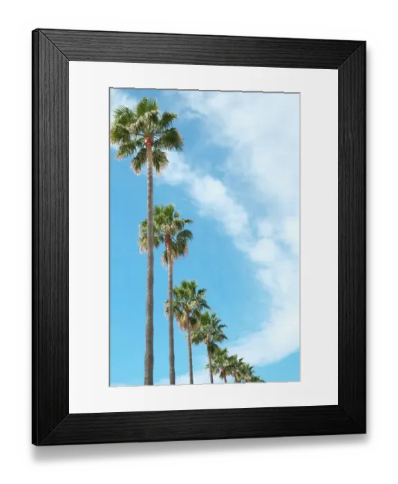 Framed Print : Marbella, Spain. Palm trees and clouds Framed Print : Marbella, Spain. Palm trees and clouds
