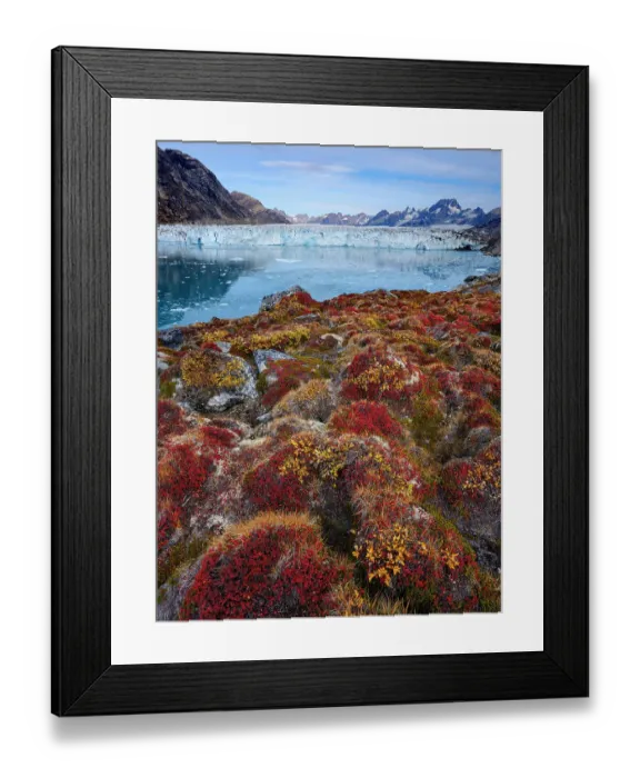 Framed Print : Glacier (also called Apuseeq Glacier) Sermiligaaq Fjord. Ammassalik area in Greenland, Tasiilaq, Danish Territory, autumn Framed Print : Glacier (also called Apuseeq Glacier) Sermiligaaq Fjord. Ammassalik area in Greenland, Tasiilaq, Danish Territory, autumn