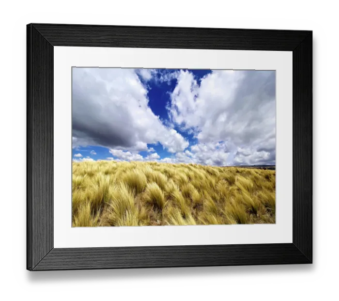 Framed Print : Argentina, Cordoba Province. Quebrada del Condorito National Park