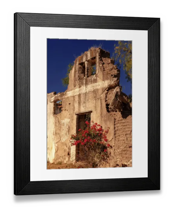 Framed Print : Colorful flowers in front of ruin of old fortress. San Miguel de Allende, Mexico Framed Print : Colorful flowers in front of ruin of old fortress. San Miguel de Allende, Mexico