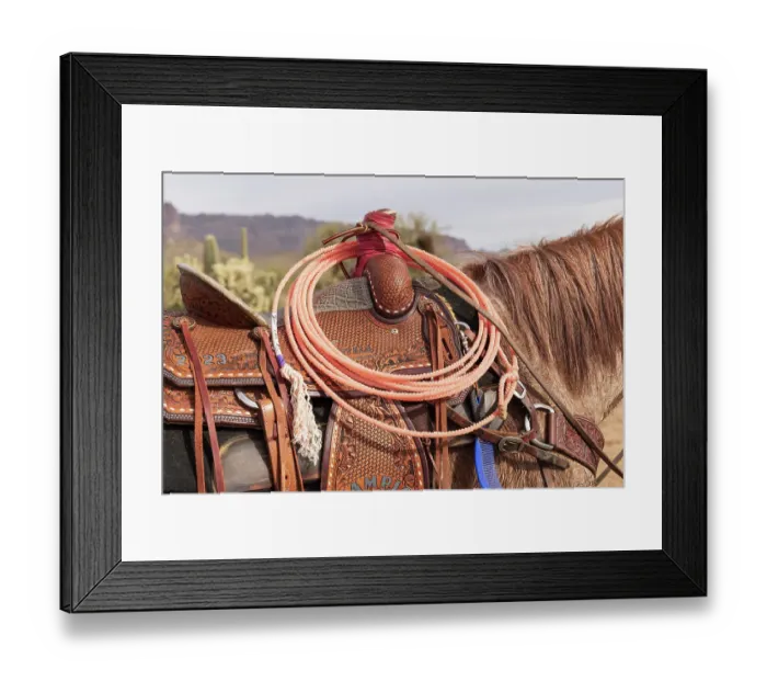 Framed Print : Close-up of a saddle and lariat on a horse Framed Print : Close-up of a saddle and lariat on a horse