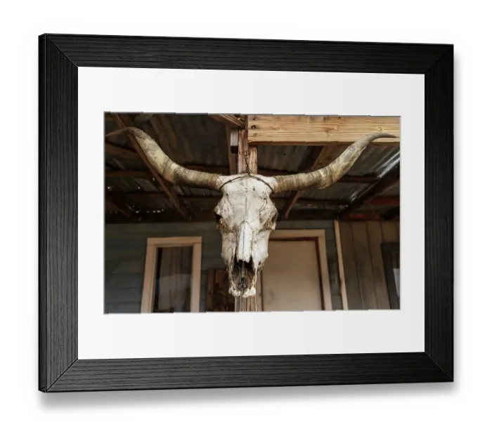 Framed Print : Cow skull hanging in a simulated old west town in Arizona, USA Framed Print : Cow skull hanging in a simulated old west town in Arizona, USA