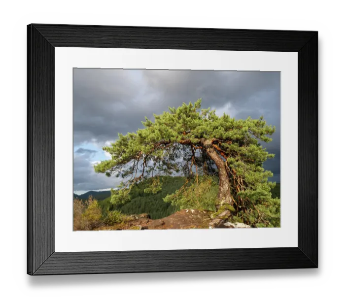 Framed Print : View from castle Blumenstein over the Palatinate Forest a nature reserve and a biosphere reserve. Germany Rhineland-Palatinate Framed Print : View from castle Blumenstein over the Palatinate Forest a nature reserve and a biosphere reserve. Germany Rhineland-Palatinate