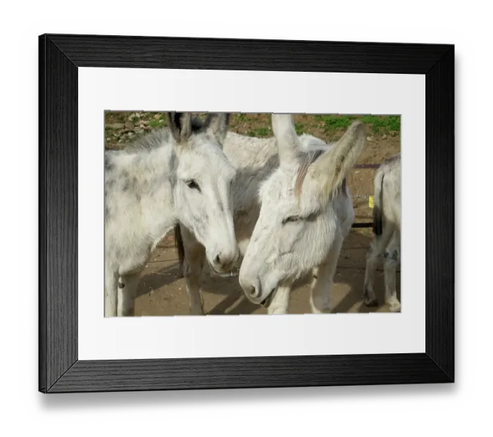 Framed Print : Marbella, Spain