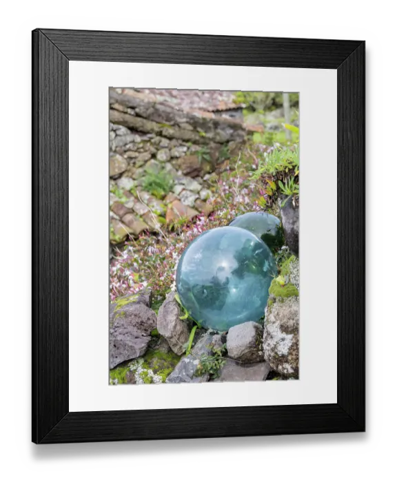 Framed Print : Aldeia da Cuada, Azores, Portugal. Glass fishing net floats in a garden on Flores Island Framed Print : Aldeia da Cuada, Azores, Portugal. Glass fishing net floats in a garden on Flores Island
