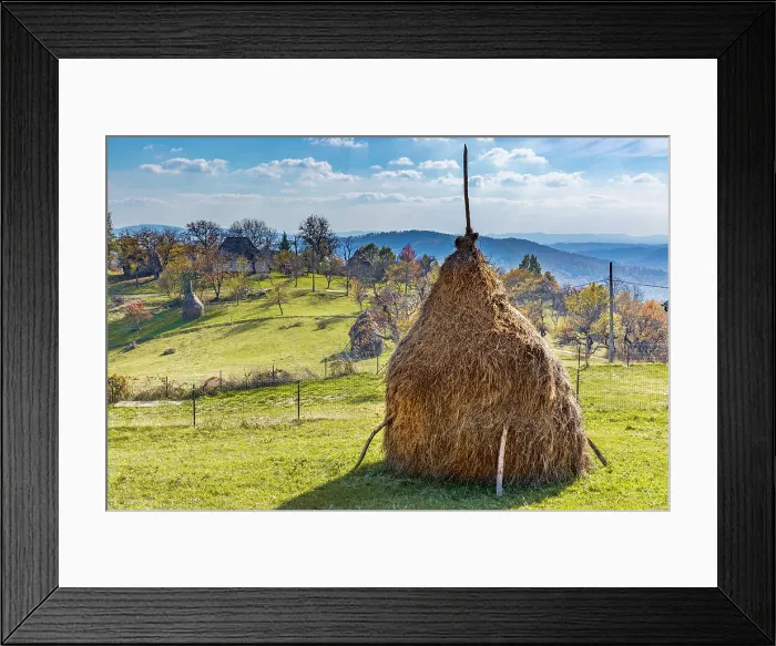 Framed Print : Romania, Transylvania, Aspra Traditional hay stacks