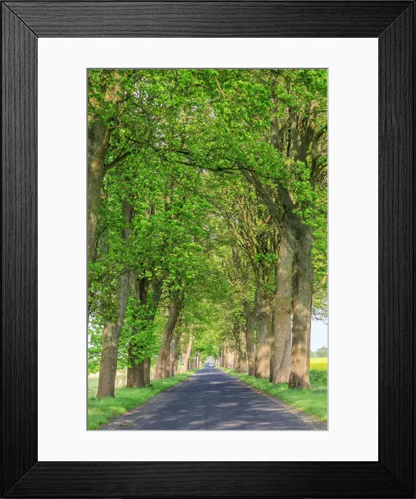Framed Print : Poland, Zlocieniec (Falkenburg in German). Road in Pomerania
