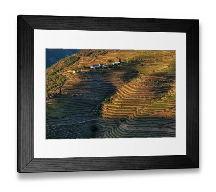 Framed Print : Terraced vineyards in the Douro Valley of Portugal