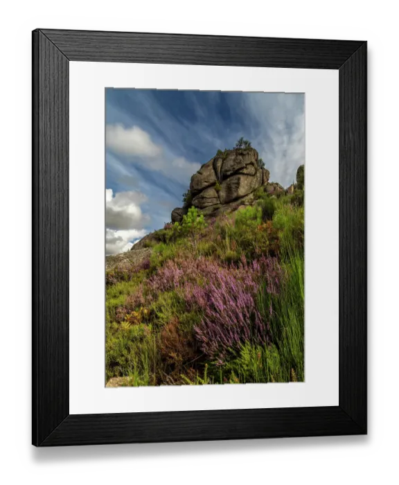 Framed Print : Calluna flowers and granite boulders in Geres National Park in Portugal Framed Print : Calluna flowers and granite boulders in Geres National Park in Portugal