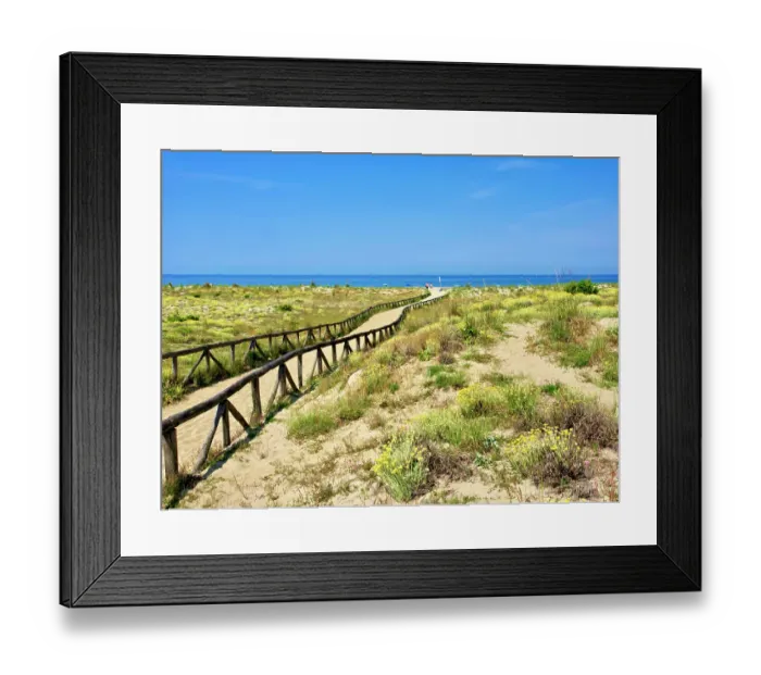 Framed Print : Italy, Tuscany, Versilia. Path from the parking lot to the beach Framed Print : Italy, Tuscany, Versilia. Path from the parking lot to the beach