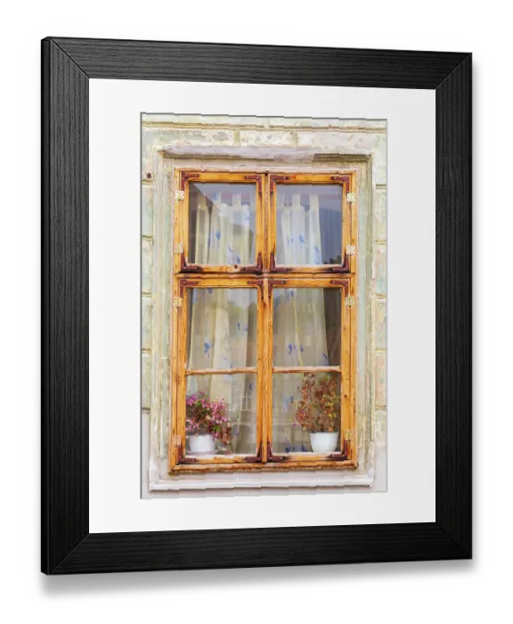 Framed Print : Romania, Bucharest. Window with flowering plants Framed Print : Romania, Bucharest. Window with flowering plants
