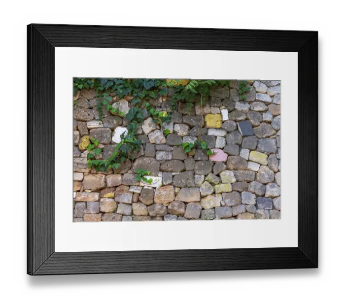 Framed Print : Stone wall with ivy. Greece, Crete, Chania, Old Town Framed Print : Stone wall with ivy. Greece, Crete, Chania, Old Town
