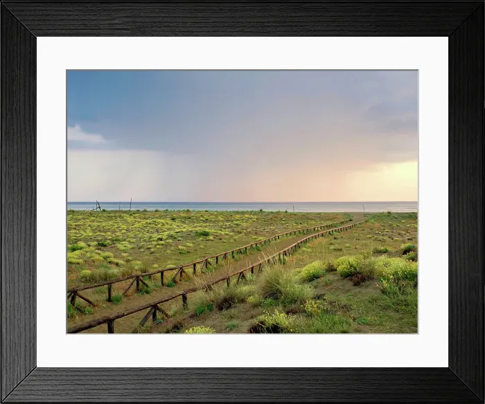 Framed Print : Italy, Tuscany, dunes and beach. Path to the beach. Rains at the horizon Framed Print : Italy, Tuscany, dunes and beach. Path to the beach. Rains at the horizon