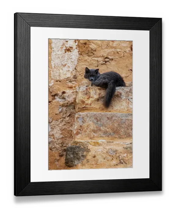 Framed Print : Cat atop old stone steps. Greece, Crete, Chania, Old Town