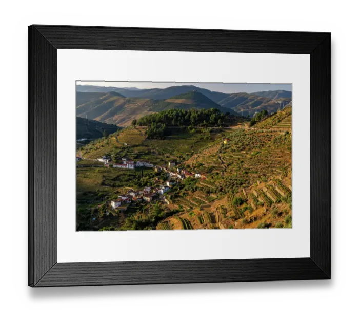 Framed Print : Terraced vineyards in the Douro Valley of Portugal Framed Print : Terraced vineyards in the Douro Valley of Portugal