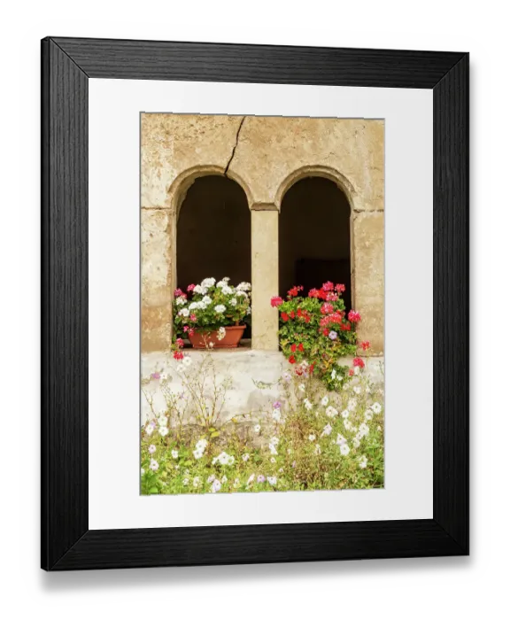 Framed Print : Romania, Transylvania, Sibiu County. Flowers Framed Print : Romania, Transylvania, Sibiu County. Flowers