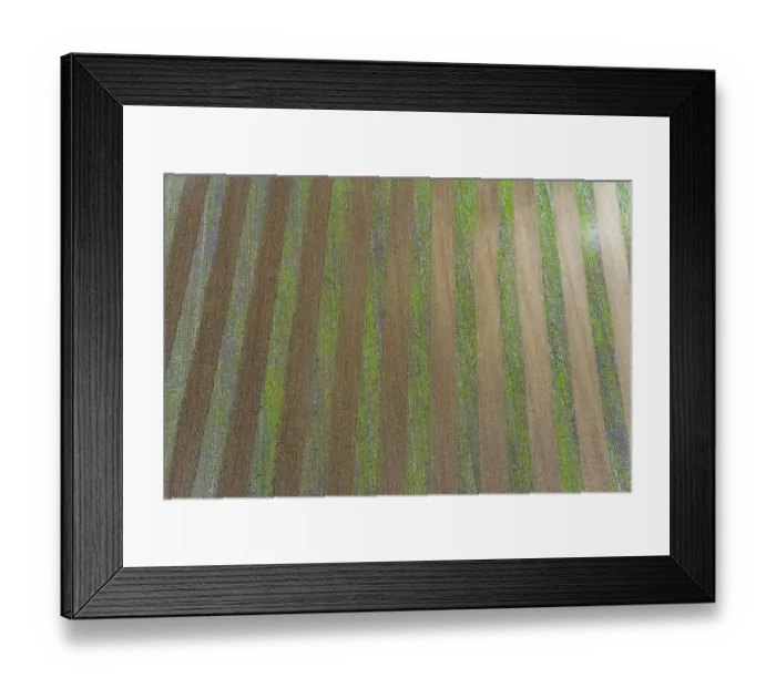 Framed Print : Farmer tilling ground in preparation for planting corn, Marion County, Illinois Framed Print : Farmer tilling ground in preparation for planting corn, Marion County, Illinois