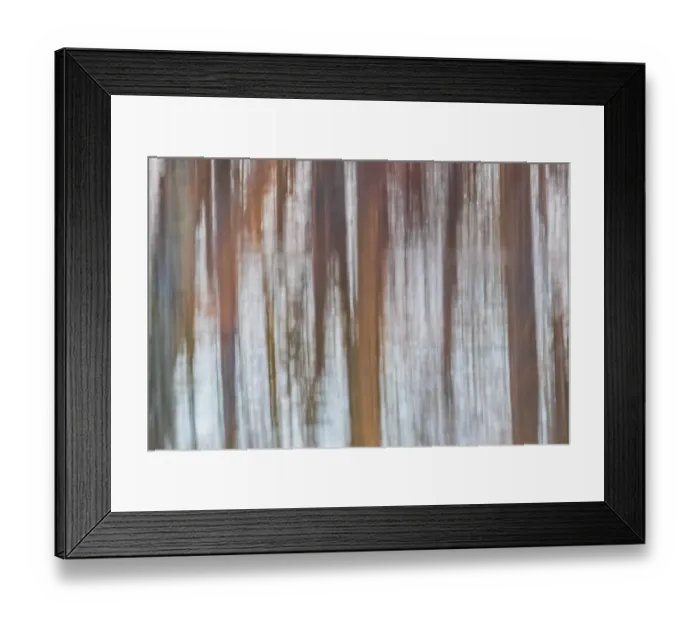 Framed Print : Reflection of a trees in wetland at sunset, Marion County, Illinois Framed Print : Reflection of a trees in wetland at sunset, Marion County, Illinois