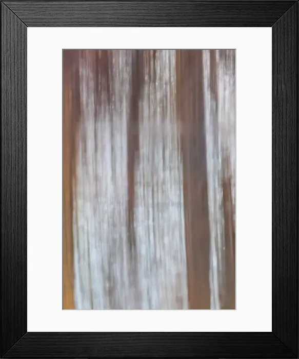 Framed Print : Reflection of a trees in wetland at sunset, Marion County, Illinois Framed Print : Reflection of a trees in wetland at sunset, Marion County, Illinois