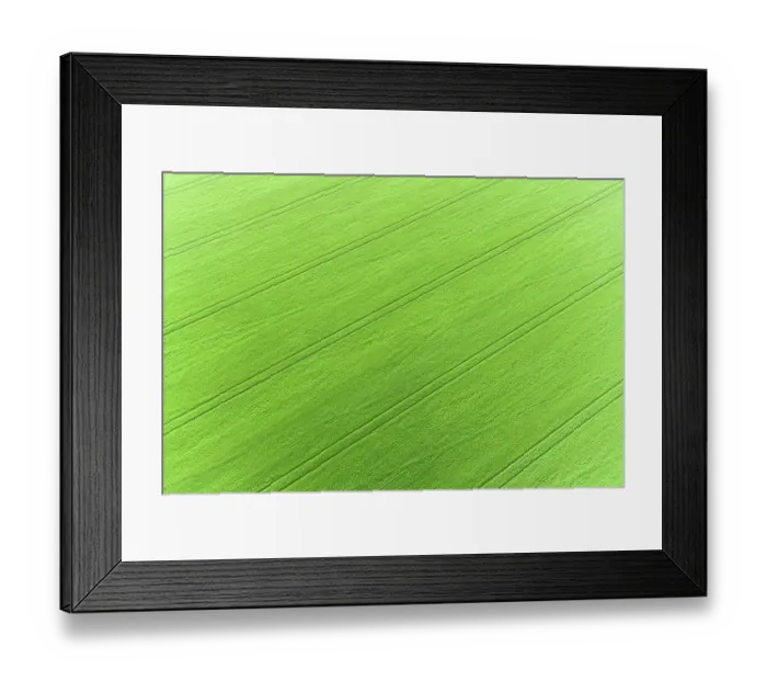 Framed Print : Aerial view of wheat field, Marion County, Illinois Framed Print : Aerial view of wheat field, Marion County, Illinois